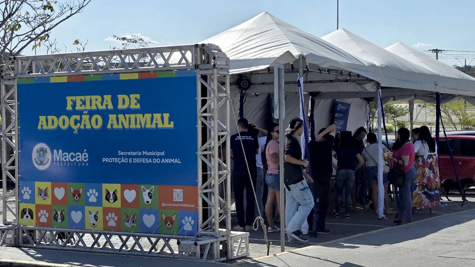Feira de Adoção Animal acontece neste sábado no Shopping Plaza Macaé