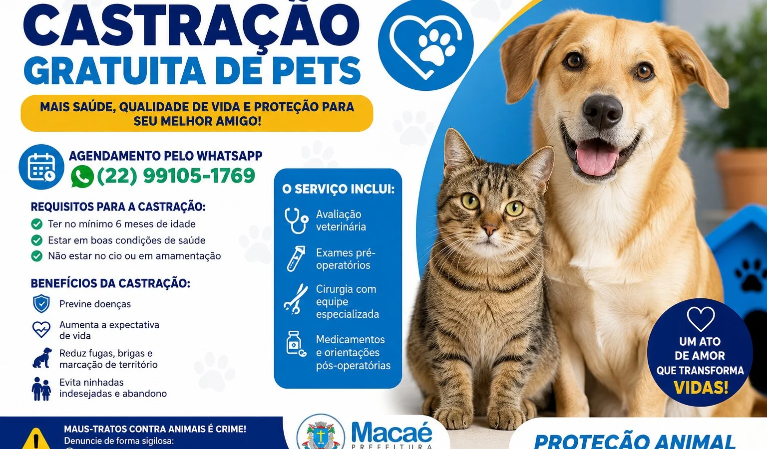 Castração gratuita de pets em Macaé: saiba como agendar pelo WhatsApp e garantir mais saúde para cães e gatos