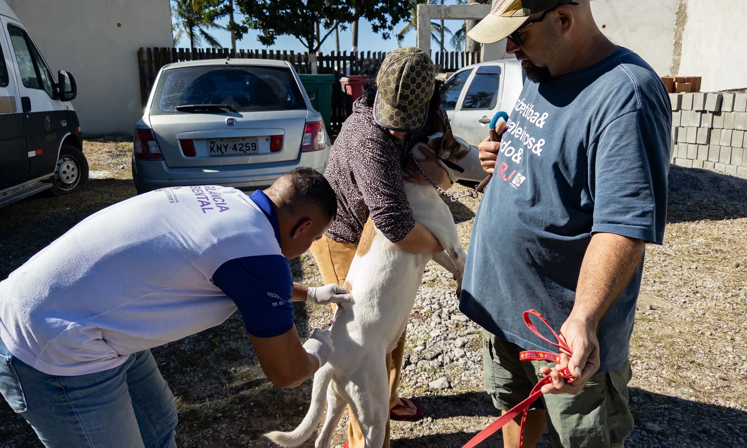 Pré-campanha de vacinação antirrábica amplia proteção de cães e gatos em bairros de Macaé